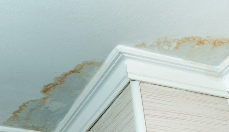 Water Intrusion On Your Home's Paint