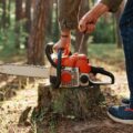 Tree Removal Permits