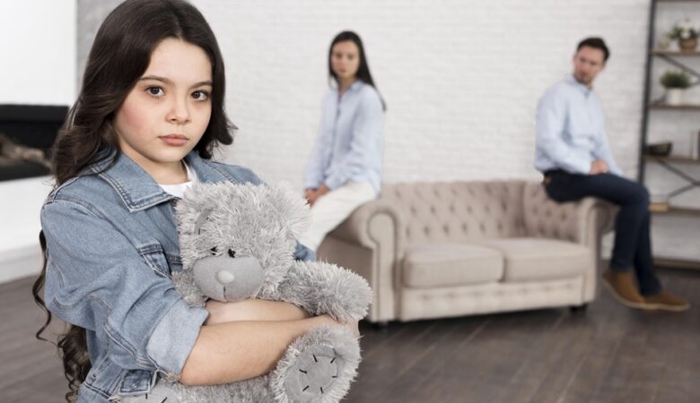 Divorce And Custody Law
