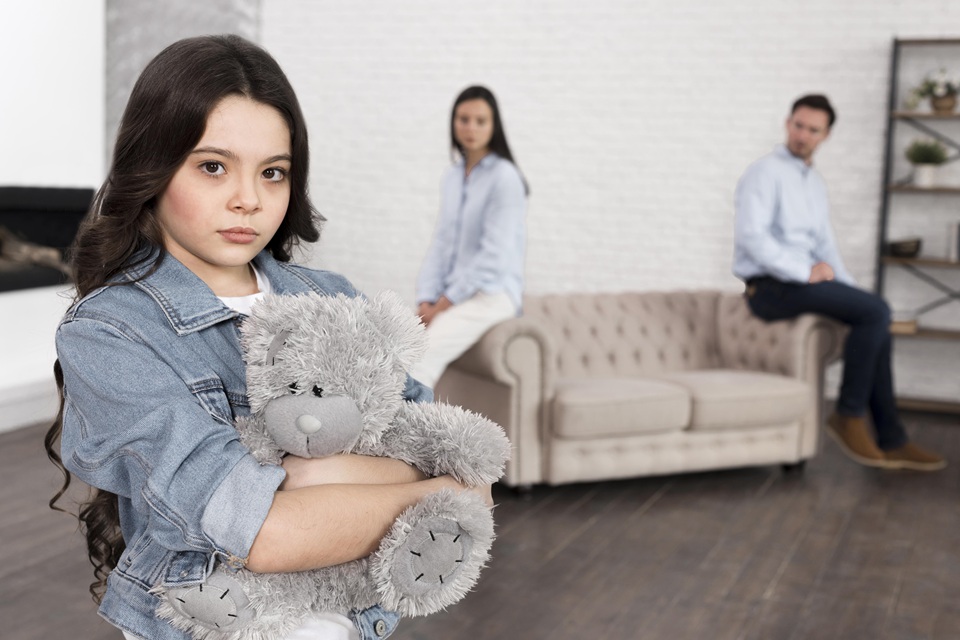 Divorce And Custody Law