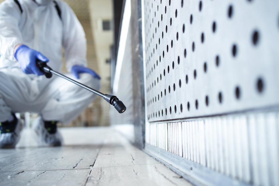 Integrated Pest Management In St. Louis